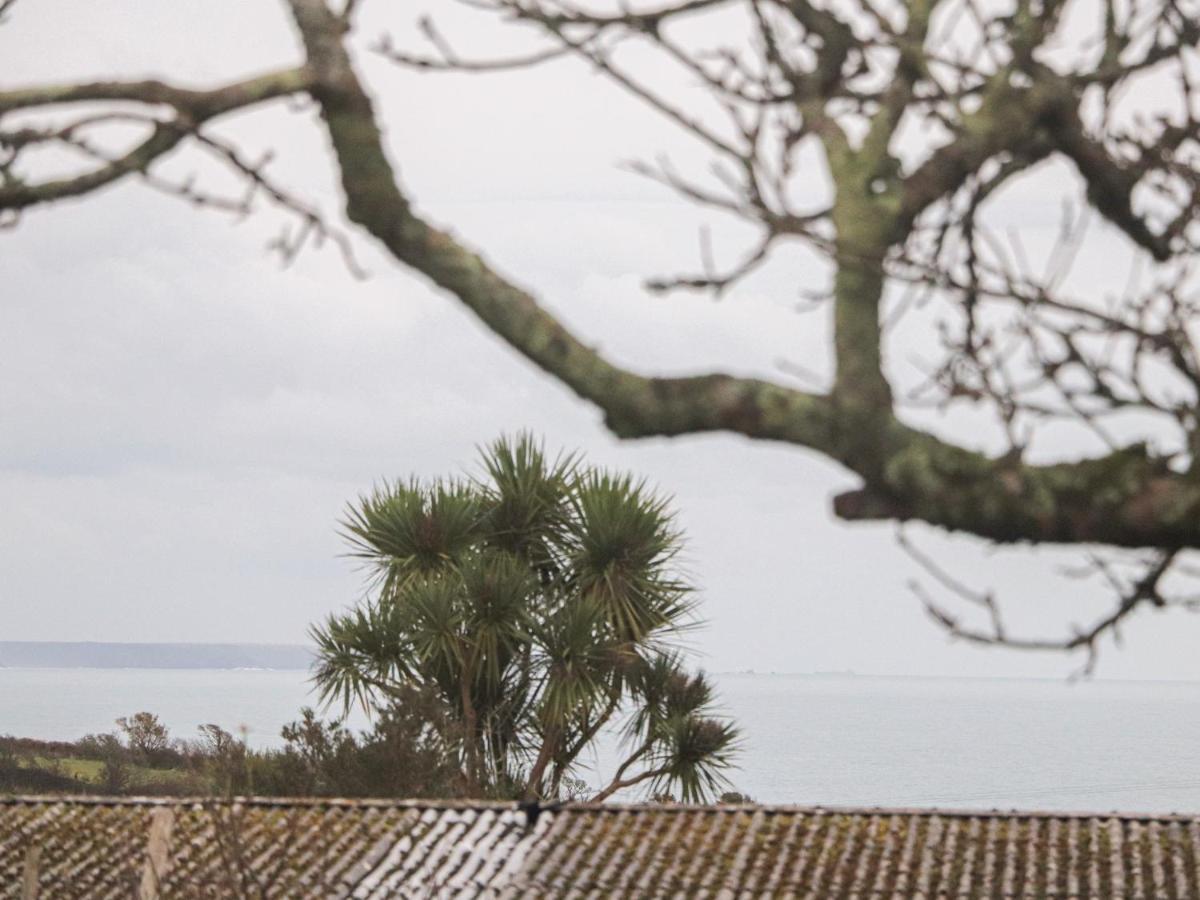 Bos Lowen Penzance Bagian luar foto